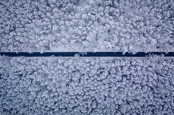 Длинная Дорога Прямо Через Заснеженный Лес Зимой Польша — стоковое фото