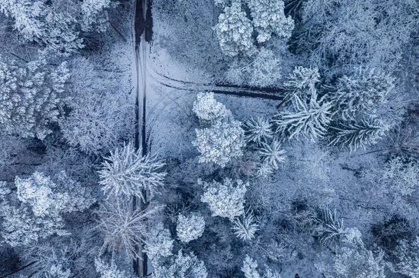 Путешествие Снежную Зиму Зимняя Дорога Лесу Вид Воздуха Природу Польше — стоковое фото