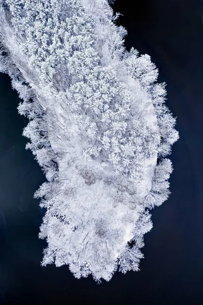 ポーランド ヨーロッパでの冬の自然の空中ビュー 冬の冷たい川と雪の森 — ストック写真