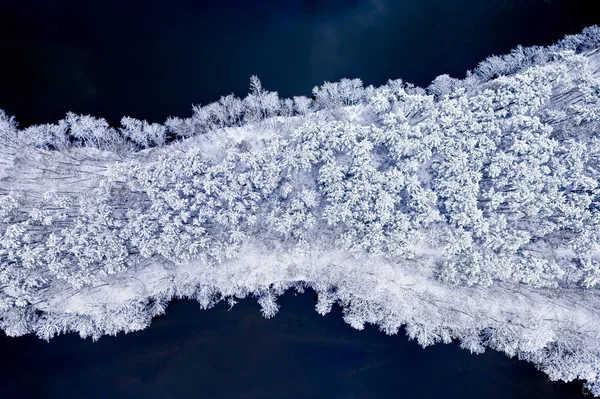 Luftaufnahme Des Winterlichen Flusses Und Des Verschneiten Waldes Polen Europa — Stockfoto