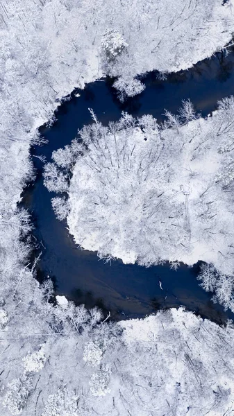 Weißer Wald Und Fluss Winter Luftaufnahme Der Natur Polen Europa — Stockfoto