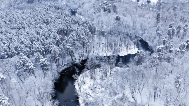 Zmrzlý les a zakřivená řeka. Letecký pohled na zimní přírodu. — Stock video