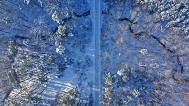 Forêt enneigée et rivière d'hiver. Vue aérienne de la nature, Pologne — Video