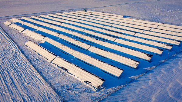 Снежные Солнечные Панели Солнечную Зиму Вид Воздуха Польшу Европу — стоковое фото