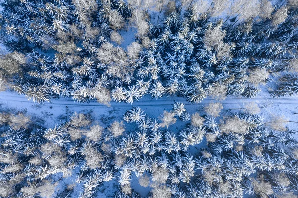 Μεταφορά Χειμώνα Δρόμος Μέσα Από Χιονισμένο Δάσος Αεροφωτογραφία Της Φύσης — Φωτογραφία Αρχείου