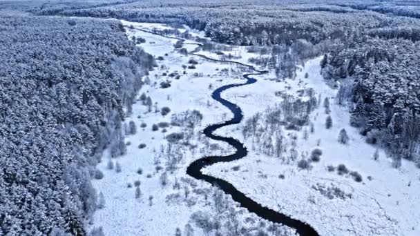 Зимова річка і засніжений ліс. Вид з повітря на зимову природу — стокове відео