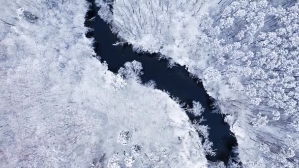 Bosque nevado y río con curvas de invierno. Vista aérea del invierno — Vídeos de Stock