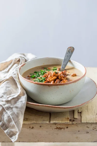 Sopa Cogumelos Saborosa Com Salsa Creme Sopa Cremosa Boletus Sopa — Fotografia de Stock