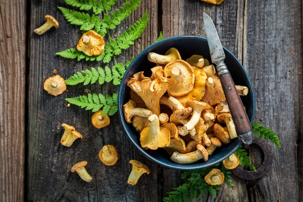 Essbare Pilze Direkt Aus Dem Wald Wilde Und Frische Pilze — Stockfoto