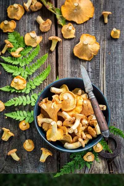 Edele Paddenstoelen Vers Geplukt Uit Het Bos Nobele Gele Paddenstoelen — Stockfoto