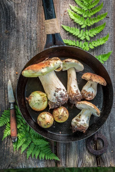 Boleto Único Cebola Panela Cogumelos Nobres Panela Cozinha Rústica — Fotografia de Stock