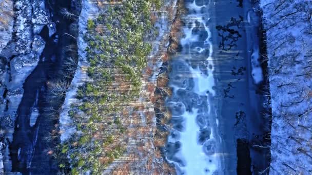 Zamarznięta rzeka i las. Widok z lotu ptaka na zimę — Wideo stockowe