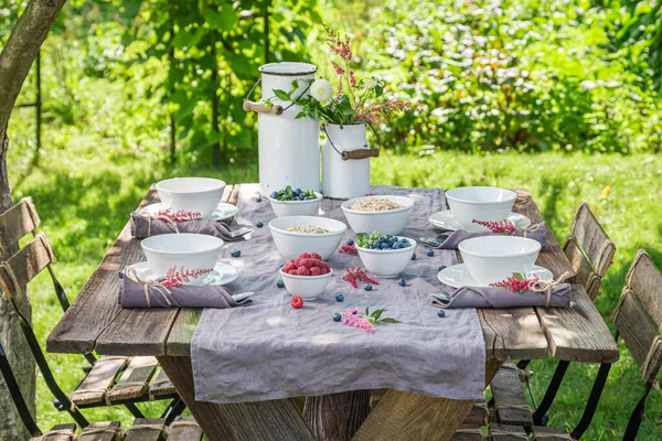 Healthy Breakfast Granola Berries Breakfast Spring Garden Healthy Tasty Breakfast — Stock Photo, Image