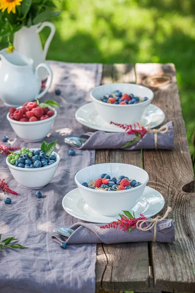 Fresh Breakfast Berries Milk Breakfast Spring Garden Healthy Tasty Breakfast — Stock Photo, Image