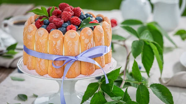 Tasty Yoghurt Cake Biscuits Berries Summer Garden Dessert Coffee Summer — Stock Photo, Image