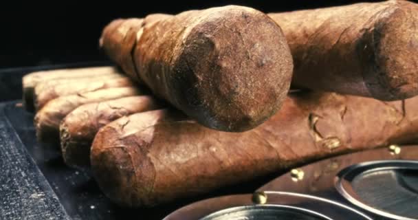 Cigarros en humidor con cortador. Cigarros caros, humidor y cortador. — Vídeo de stock