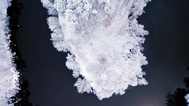 Koude rivier en besneeuwd bevroren bos. Luchtfoto van de winter. — Stockvideo