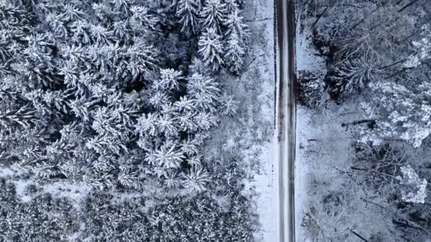 Śnieżna droga przez las w zimie. Podróż zimą. — Wideo stockowe
