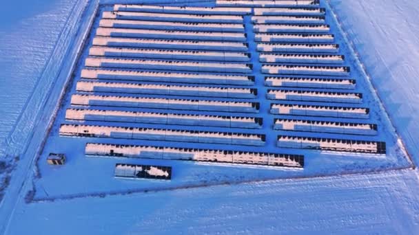 Snowy zonnepanelen in de winter. Alternatieve energie in de winter. — Stockvideo