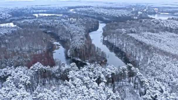 Холодна річка взимку. Вид з повітря на зимову природу — стокове відео