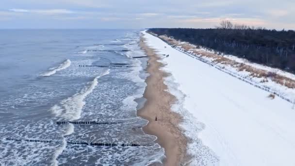 冬のヘル半島の雪のビーチ。冬｜バルト海. — ストック動画