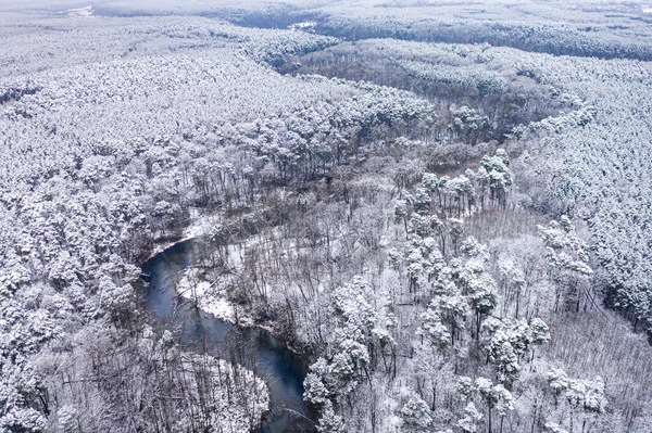 ポーランド ヨーロッパでの野生動物の空中ビュー 川と雪の森 — ストック写真