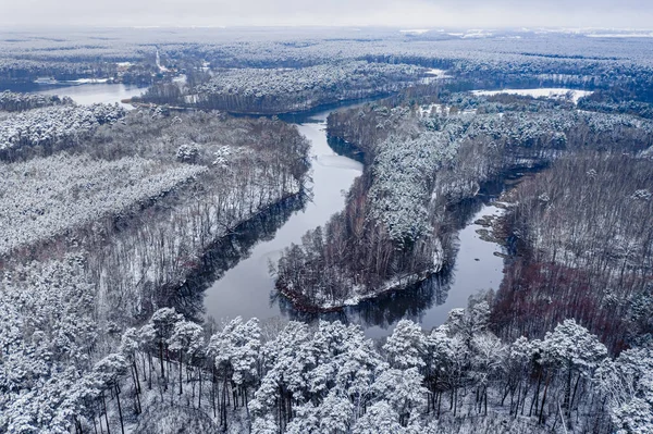 Floresta Rio Inverno Vista Aérea Natureza Inverno Polônia Europa — Fotografia de Stock