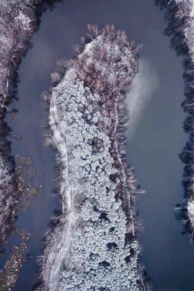 Gefrorener Wald Und Kalter Fluss Winter Luftaufnahme Der Tierwelt Polen — Stockfoto