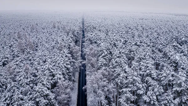Lange Schwarze Straße Und Verschneiter Wald Winter Reisen Winter Luftaufnahme — Stockfoto