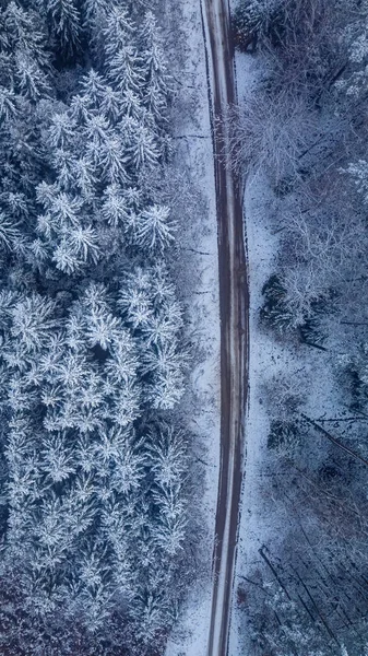 冬天森林里的雪路 在冬天旅行 波兰的空中自然景观 — 图库照片