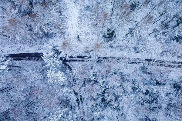 Verschneite Winterstraße Wald Reisen Schneereichen Winter Luftaufnahme Der Natur Polen — Stockfoto