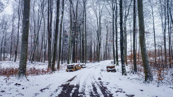 森林里雪地的小路 欧洲野生动物的空中景观 — 图库照片