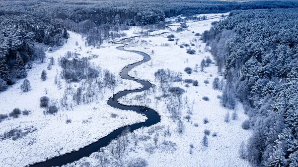 冬卷的河流和雪地的森林 波兰野生动物冬季的空中景观 — 图库照片