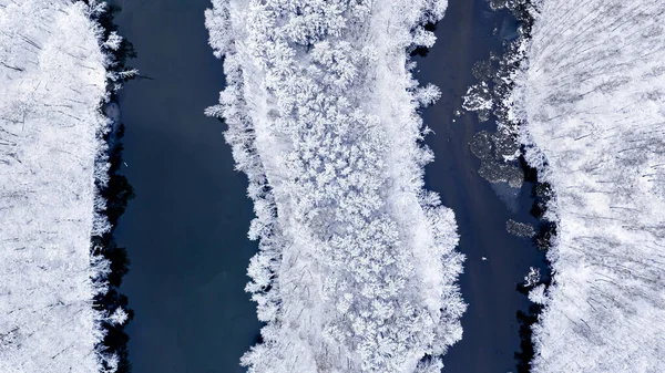 Сверху Вниз Вид Замерзший Лес Пышную Реку Зимой Вид Воздуха — стоковое фото