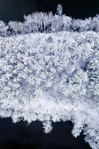 Letecký Pohled Divokou Zvěř Polsku Evropě Sněžný Les Zimní Řeka — Stock fotografie