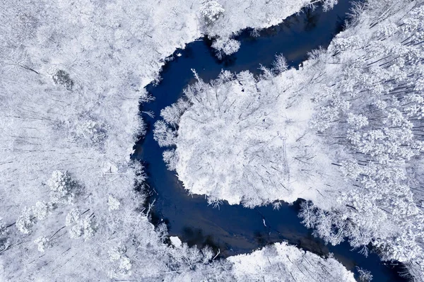 Fluss Und Weißer Wald Winter Luftaufnahme Der Natur Polen Europa — Stockfoto