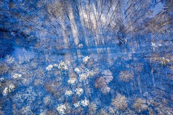 Kışın Karlı Orman Yol Kışın Yolculuk Karla Kaplı Yol — Stok fotoğraf