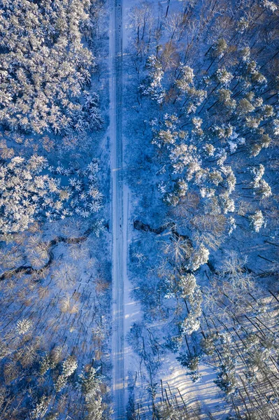 冬季运输 冬天的雪地森林和道路 白雪覆盖的道路 — 图库照片