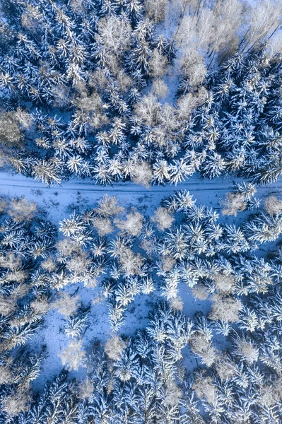 Straße Verschneiten Wald Transport Winter Luftaufnahme Der Natur Polens Europa — Stockfoto