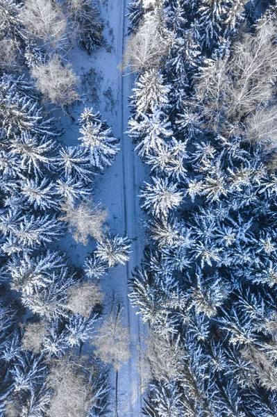 Дорога Снежный Лес Транспорт Зимой Вид Воздуха Природу Польши Европу — стоковое фото
