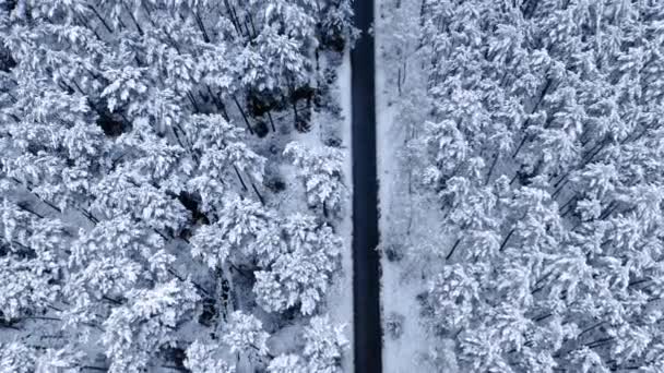 Luchtfoto van de weg door besneeuwd bos. Vervoer in de winter — Stockvideo