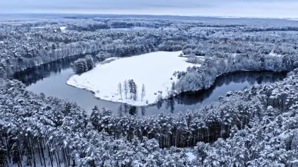 Kall kurvig flod och snöig skog. Flygfoto av naturen — Stockvideo