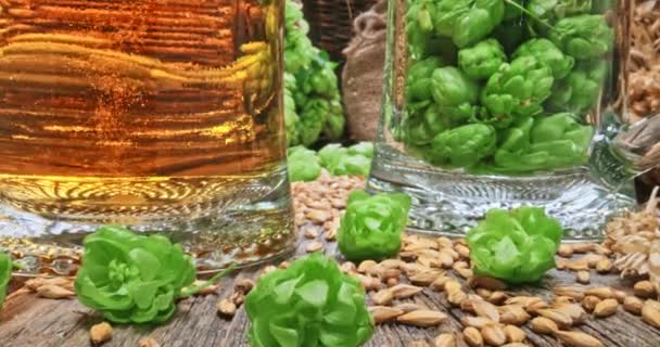 Hop y malta como ingredientes de la cerveza. Tazas de cerveza fría. — Vídeos de Stock