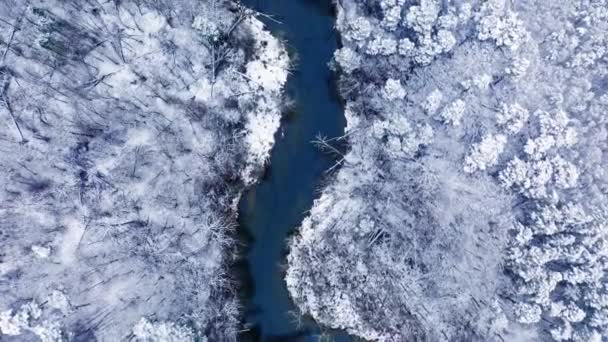 Rivier en bos in de winter. Luchtfoto van de winternatuur — Stockvideo