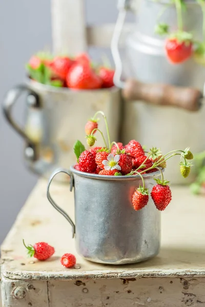 Ripe Wild Strawberries Freshly Picked Garden Red Wild Strawberries Small — Stock Photo, Image