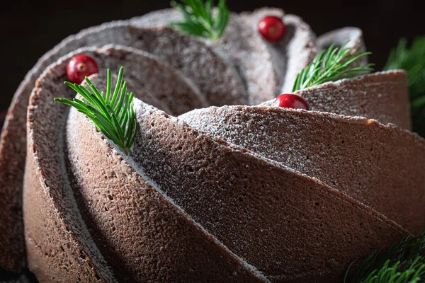 クリスマスのおやつとして自家製チョコレートケーキ ココアクリスマスケーキ — ストック写真