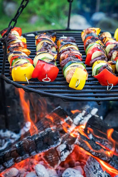 Hot Skewers Grill Meat Grill Garden Countryside Grill Summer — Stock Photo, Image