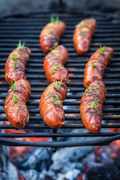 Kiełbasa Grillu Przyprawami Kiełbasa Ogniu Grill Wsi Lecie — Zdjęcie stockowe