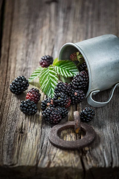 Moras Dulces Directamente Del Jardín Frutas Llenas Vitaminas Pequeños Frutas —  Fotos de Stock