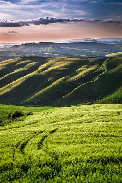 Schöne Aussicht auf grüne Felder und Wiesen bei Sonnenuntergang in der Toskana — Stockfoto